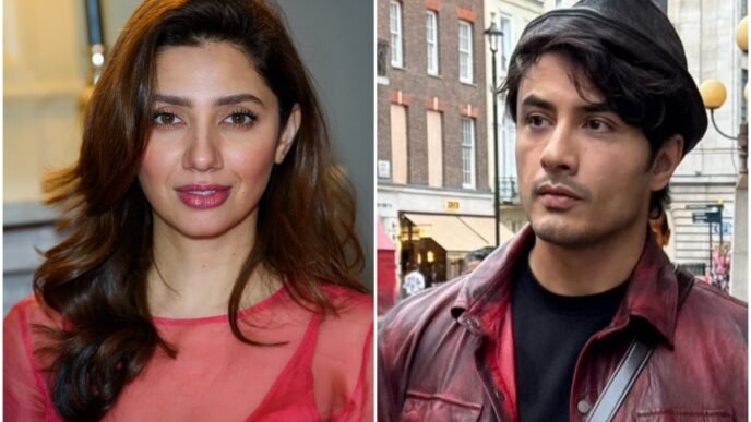 Famous Pakistani actors and celebrities see social media accounts blocked in India