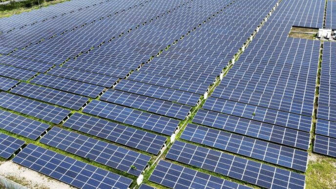 Foreign companies bet on Japan's battery storage market