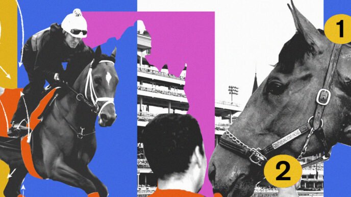 Horses to follow, weather and results as odds project Journalism to win