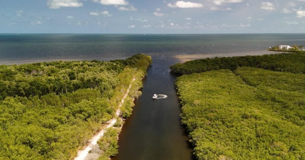 How a Florida city is tackling human smuggling