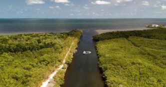 How a Florida city is tackling human smuggling