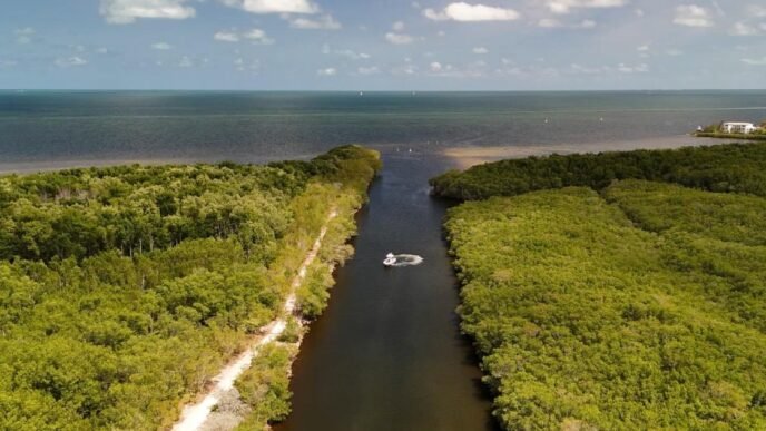 How a Florida city is tackling human smuggling