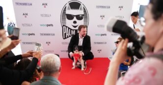 Icelandic sheepdog wins 'Palm Dog' in Cannes