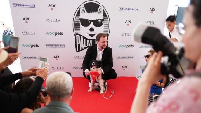 Icelandic sheepdog wins 'Palm Dog' in Cannes