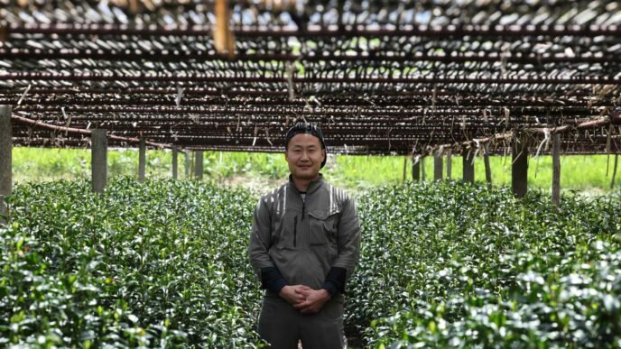 Kyoto tea farmers take global thirst for matcha in stride