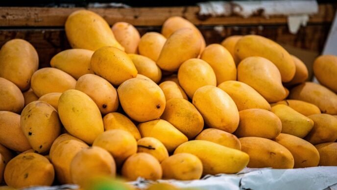 Mango Exports from Pakistan to other countries