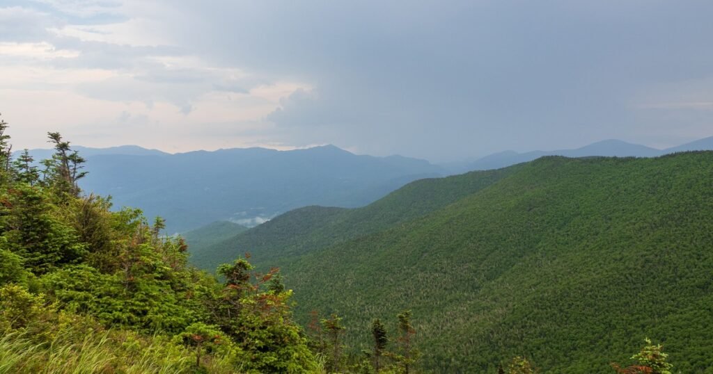 Mushroom-tripping hikers mistakenly report a companion's death, officials say