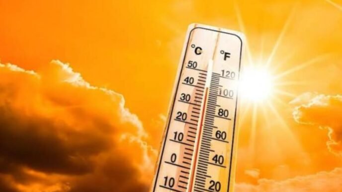 PDMA issues heatwave alert in KP