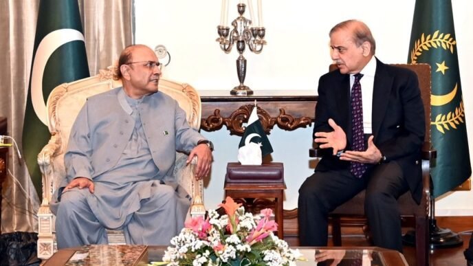 PM Shehbaz briefs President Zardari about Indian aggression