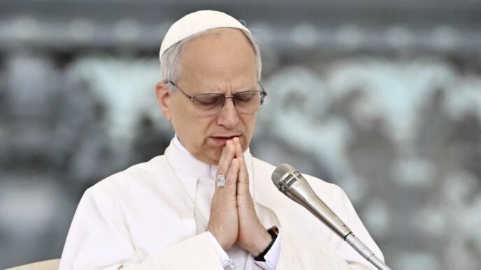Pope Leo XIV calls for aid to reach Gaza in his first general audience