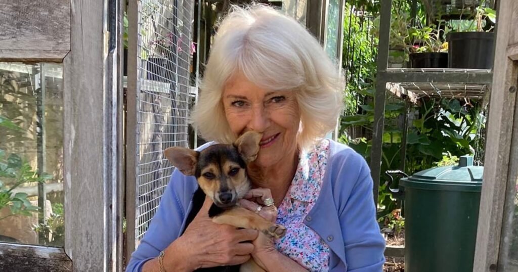 Queen Camilla shares first photos of new royal pup, Moley