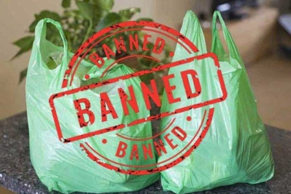 Sindh bans plastic bags from June 15