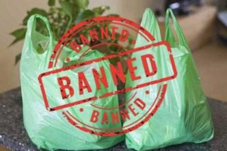 Sindh bans plastic bags from June 15