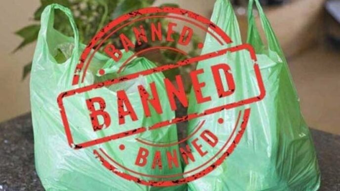 Sindh bans plastic bags from June 15