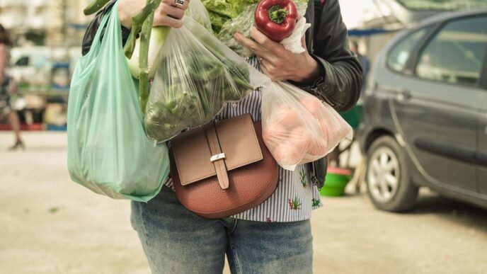 Sindh govt imposes complete ban on plastic bags from June 15