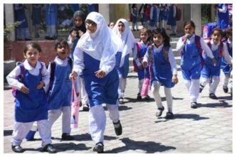 When will summer holidays 2025 start in Punjab? Check date here