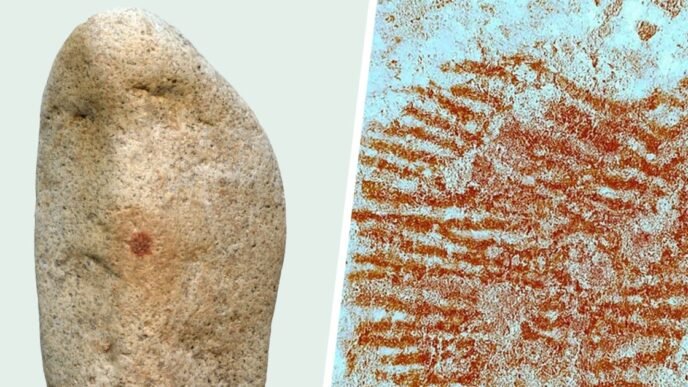 With the touch of a finger, a Neanderthal may have made art