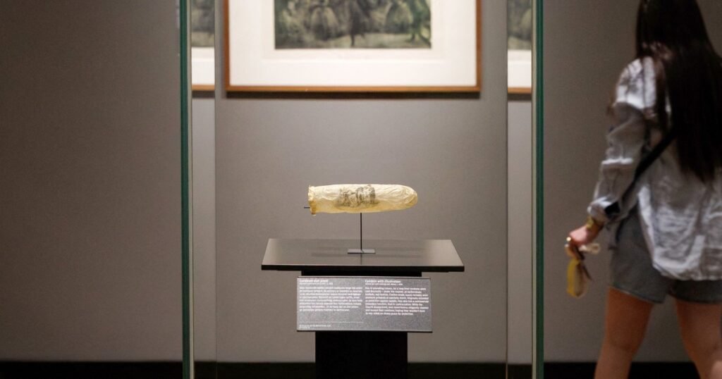 200-year-old condom featuring erotic art goes on display in Amsterdam museum