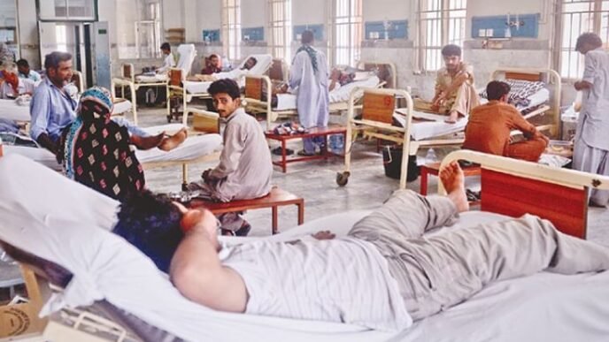 76 doctors absent, DHO demands action
