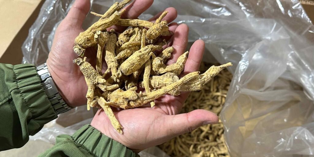 American ginseng farmers on brink as US-China trade war drags