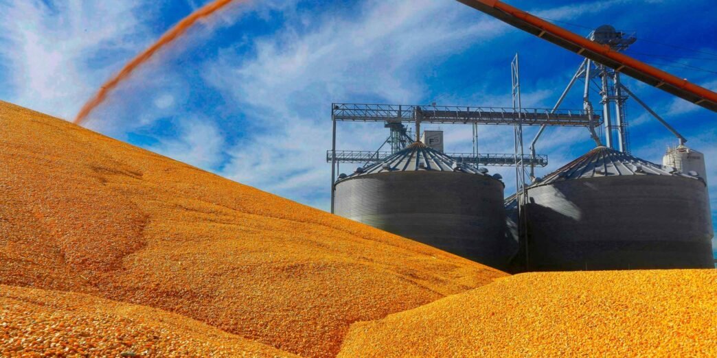 As China seeks to end food dependence, US corn heads to Europe