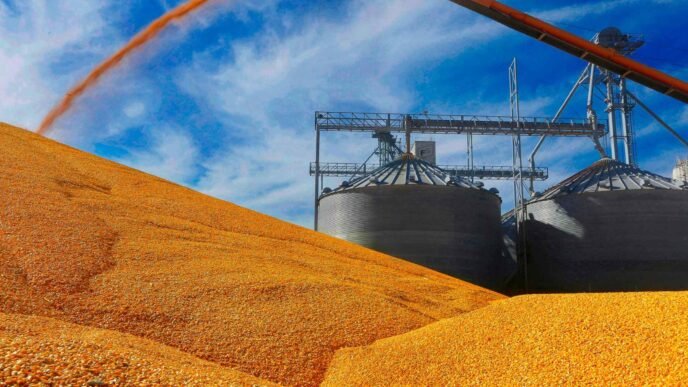 As China seeks to end food dependence, US corn heads to Europe
