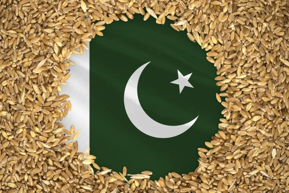 From earth to orbit, Pakistani wheat seeds heads to space
