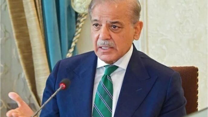 Govt institutional reforms to lead country toward progress: PM