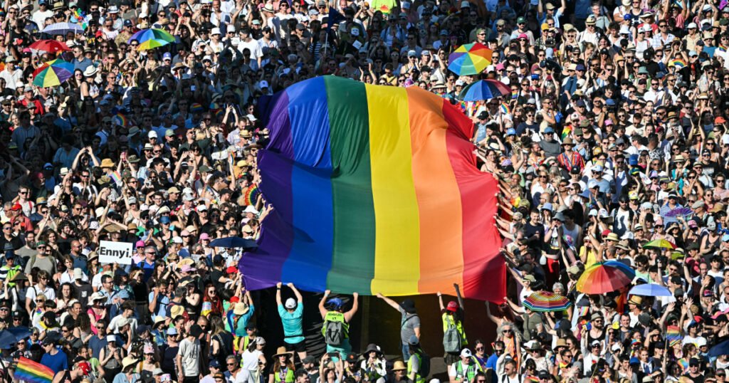 Hungary's LGBTQ+ community defies government ban on Pride march