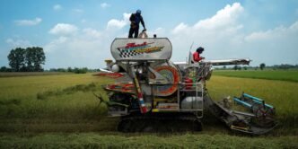 Japan turns to Thai and Vietnamese rice as prices soar