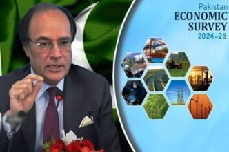 Key highlights of Pakistan Economic Survey 2024-25