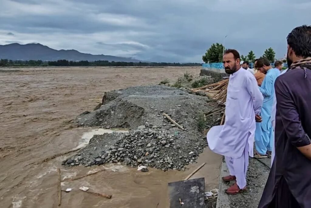 PDMA releases initial report on monsoon losses in KP