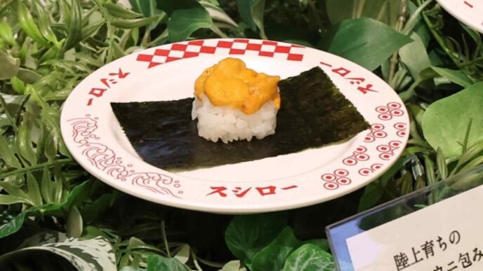 Sushiro sushi operator to begin farming sea urchins on land