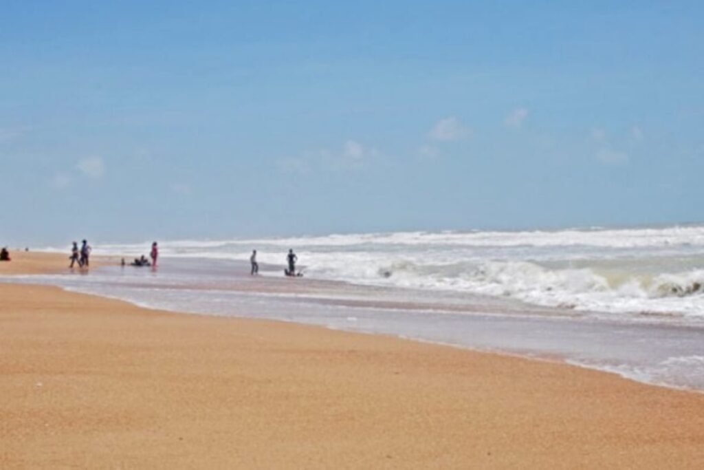 Two friends drown at Hawke’s Bay