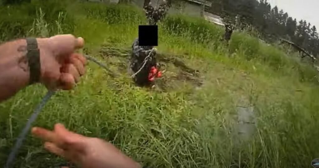Washington deputy uses lasso to retrieve chainsaw-wielding man out of a pond