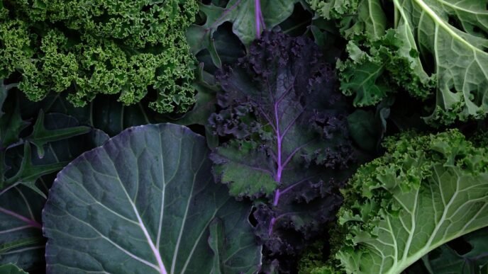 Why the MIND diet beats Mediterranean in protecting against dementia