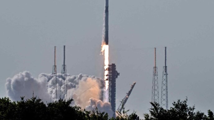 India OKs Elon Musk's Starlink service